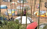 Độc đáo những bức tranh thuyền thúng